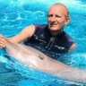 Profielafbeelding voor Amado